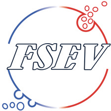 Logo fsev